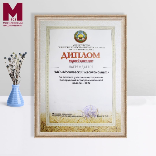 Диплом I степени