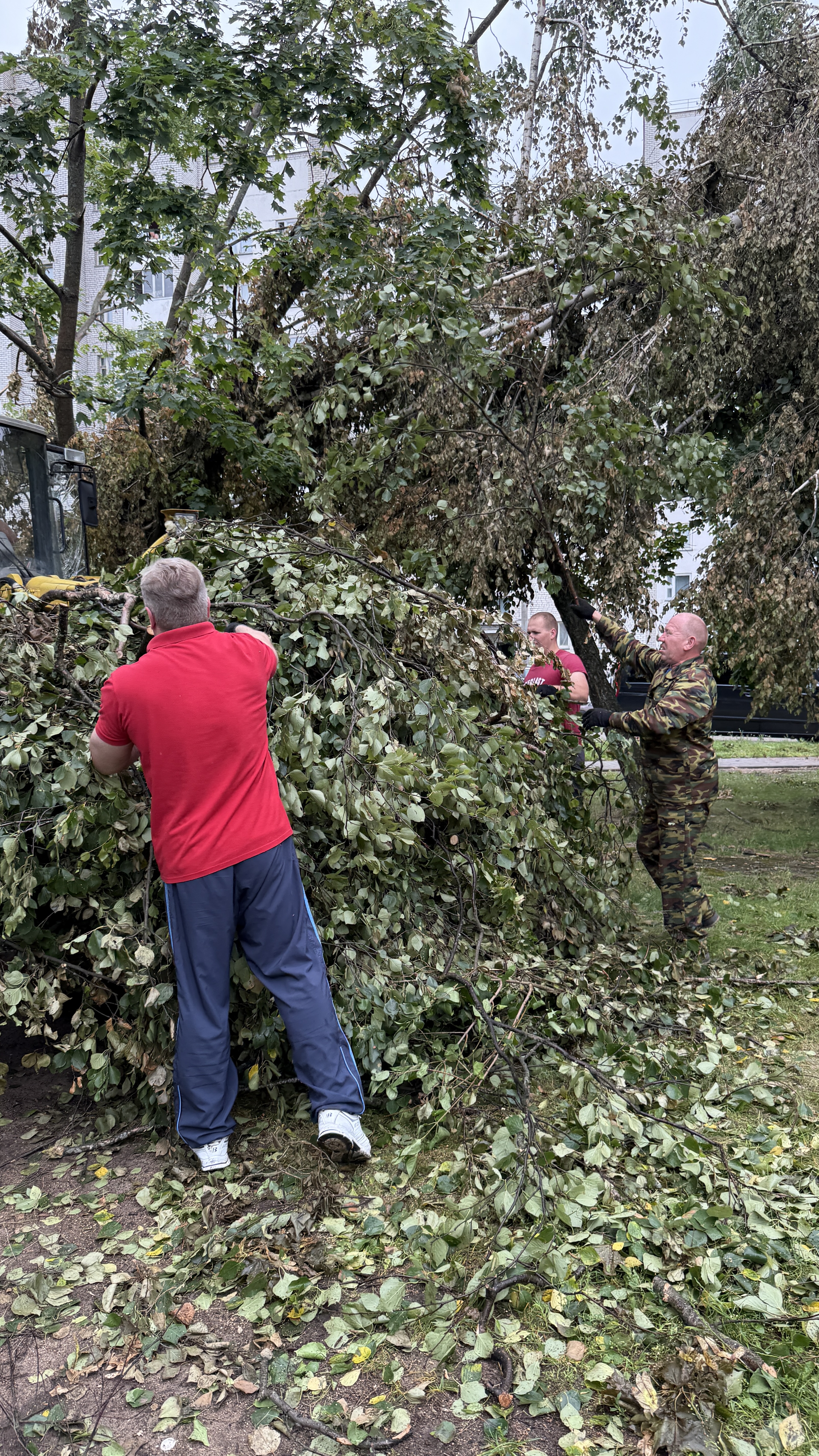 Изображение новости