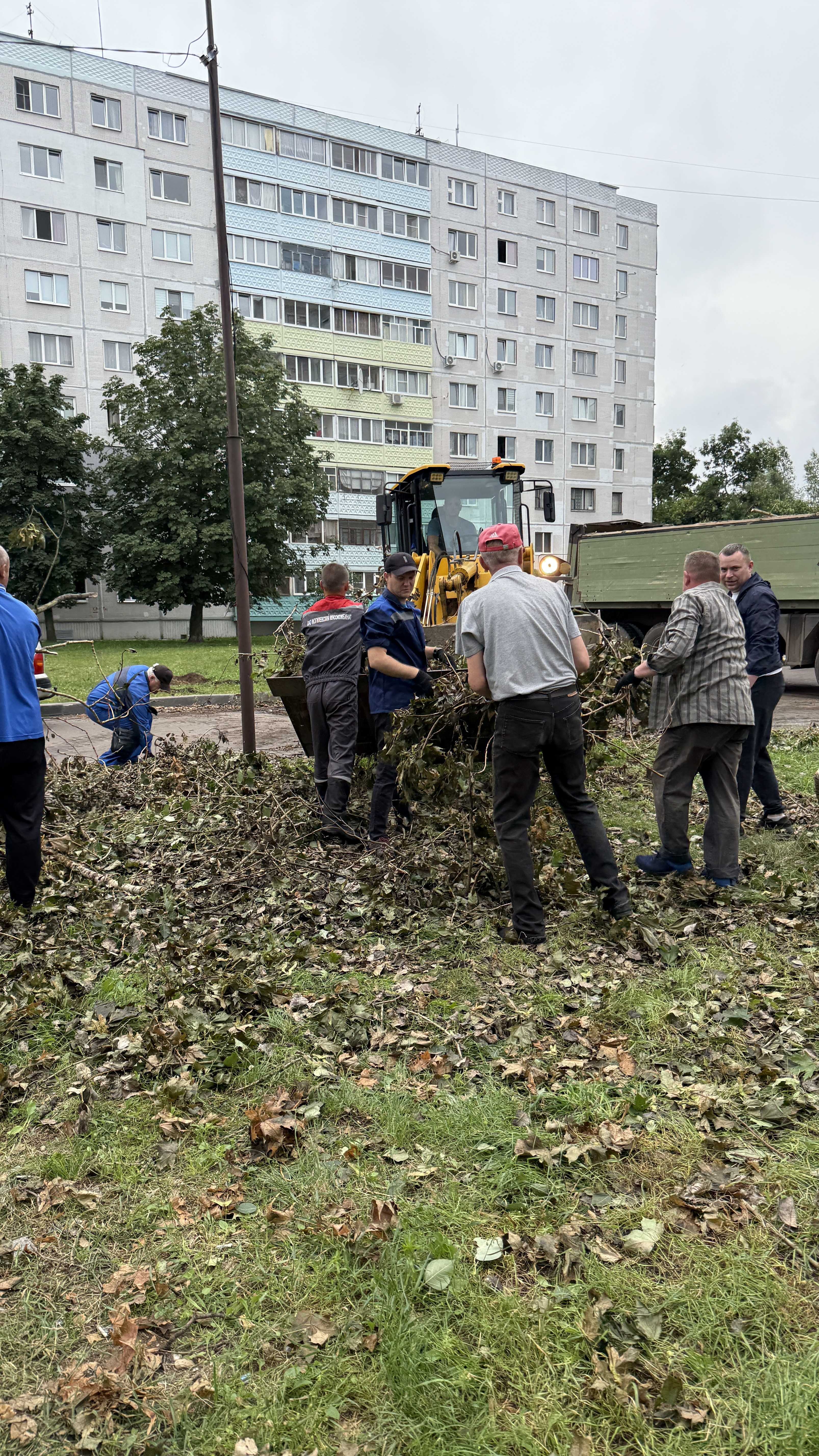Изображение новости