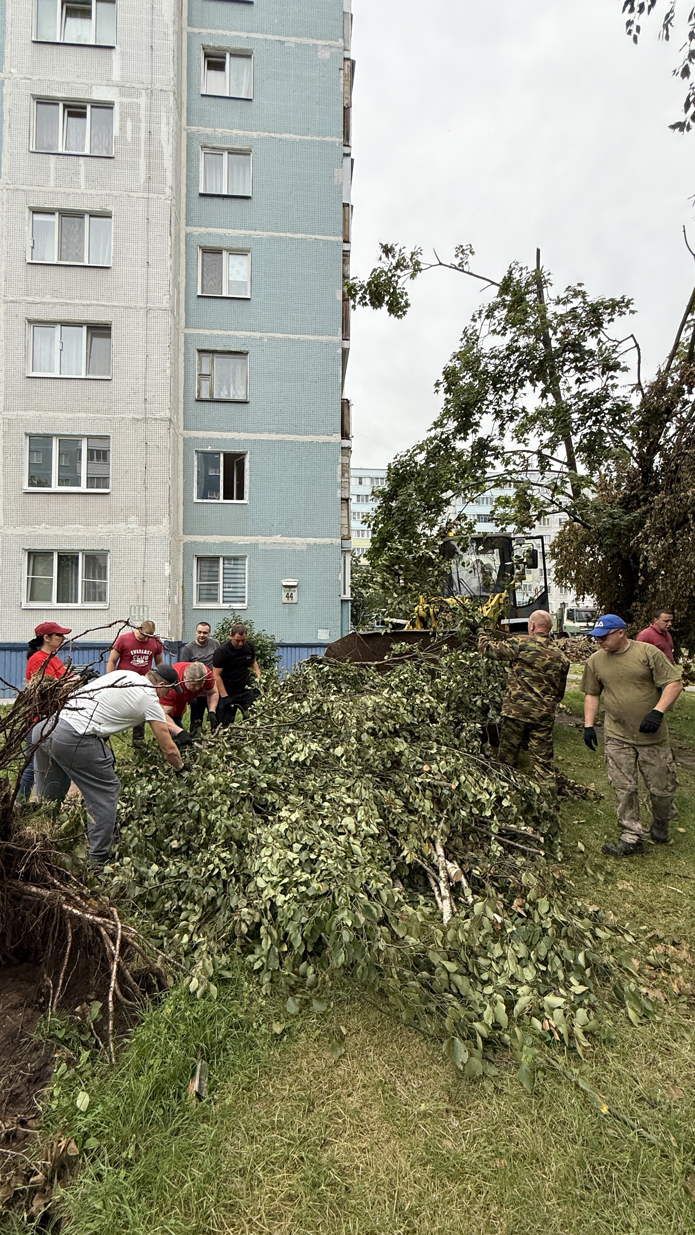 Изображение новости