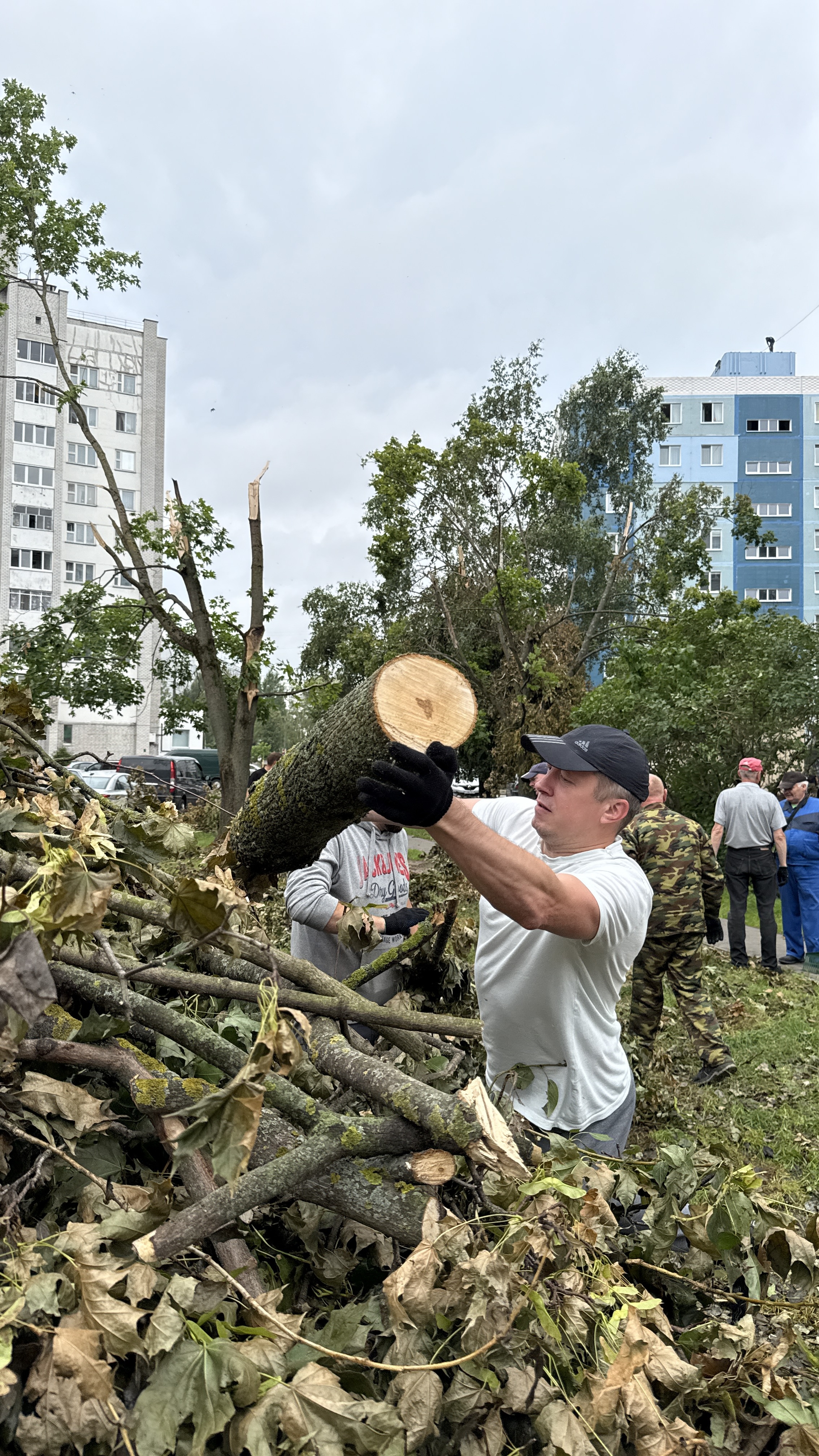 Изображение новости